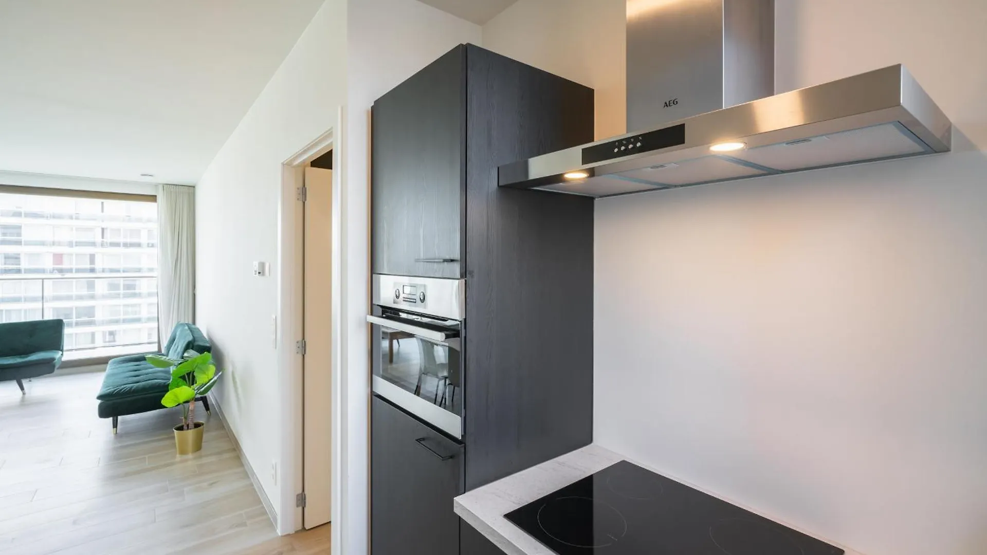 Opera Apartments In The Center Of Antwerp