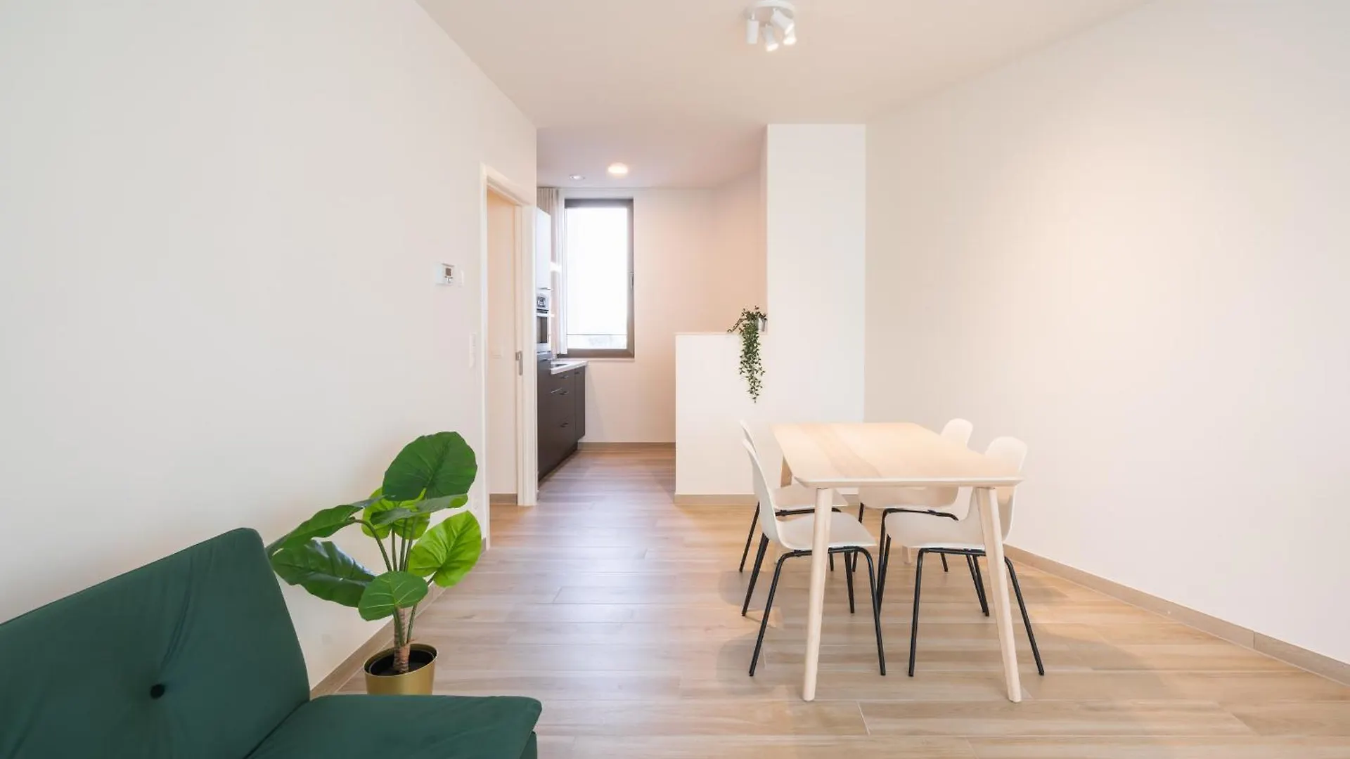 Opera Apartments In The Center Of Antwerp